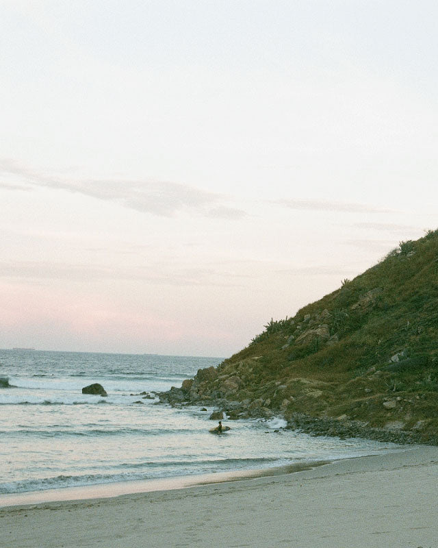 SHRED SURF COMPANY